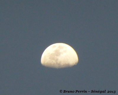 Vue horizonale de la lune, le jour